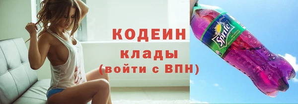 индика Белокуриха